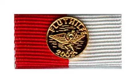 Hamburg Dankmedaille Fluthilfe 2002