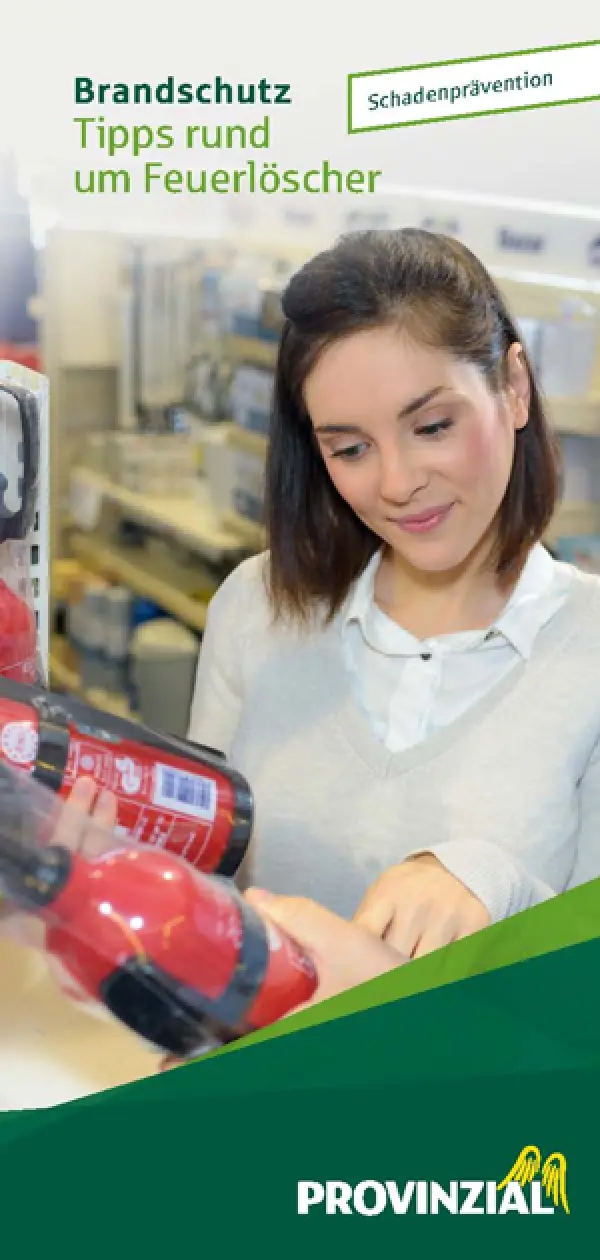 Flyer Feuerlöscher (20 Stück)