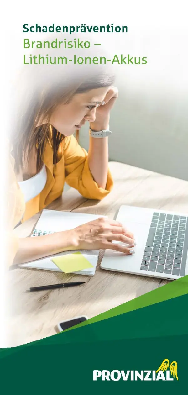 Flyer Lithium-Ionen-Akku (20 Stück)